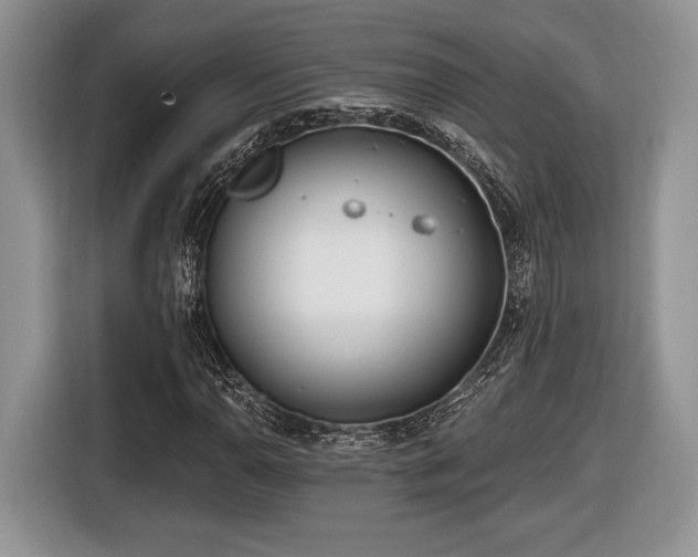 X0000116431110200912151012