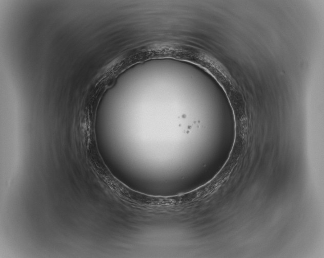 X0000116431111200912151012