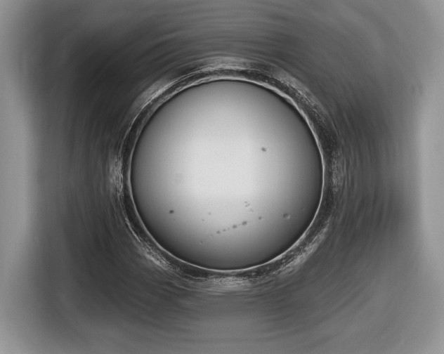 X0000116431113200912151013