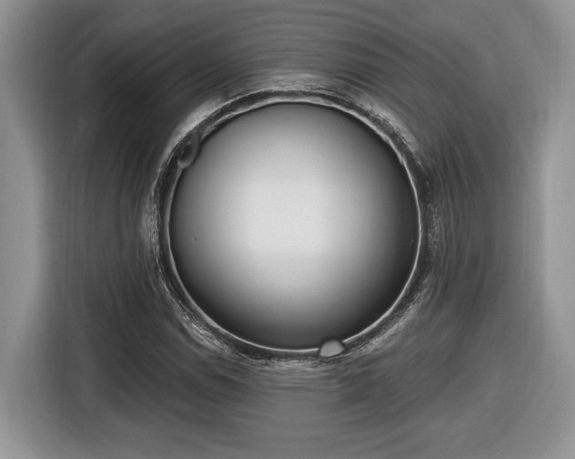 X0000116431114200912151013
