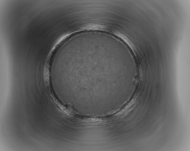 X0000116431115200912151013