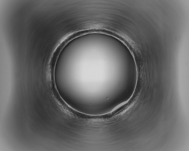 X0000116431118200912151013