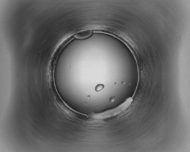 X0000116431119200912151013