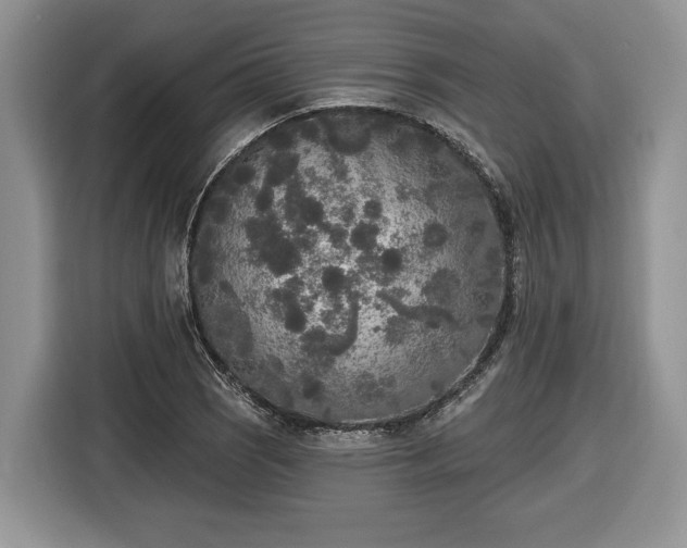 X0000116431121200912151013