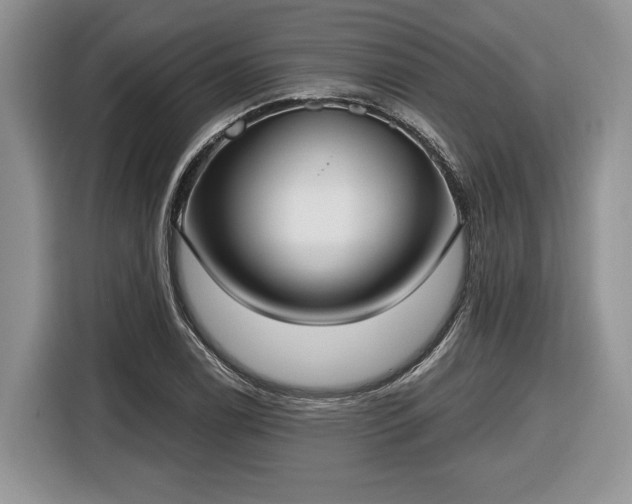 X0000116431122200912151013