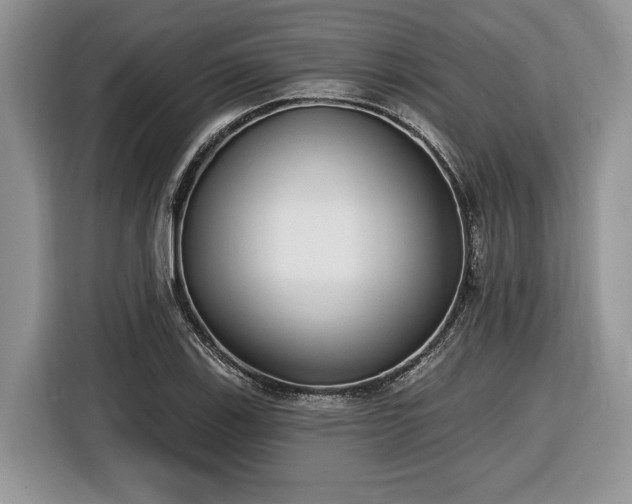 X0000116431123200912151013