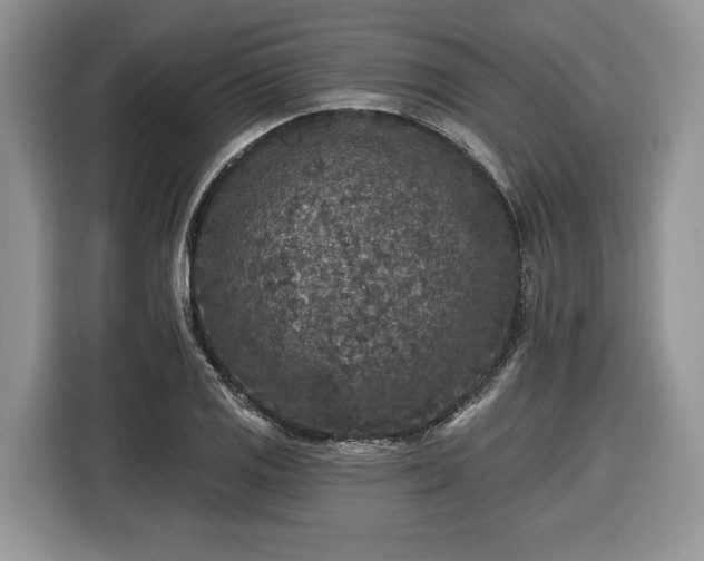X0000116431125200912151013