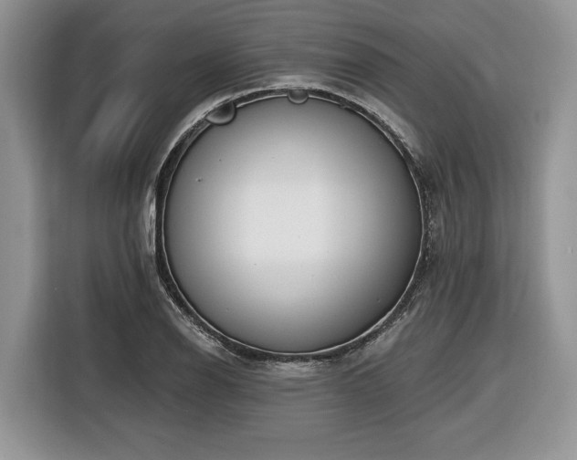 X0000116431126200912151013