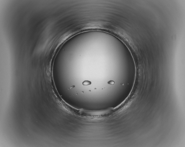 X0000116431129200912151013