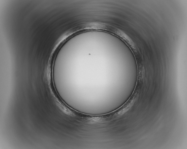 X0000116431130200912151013
