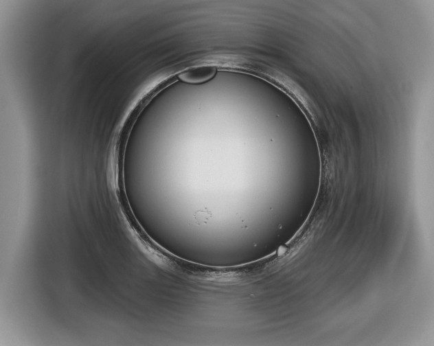 X0000116431131200912151013