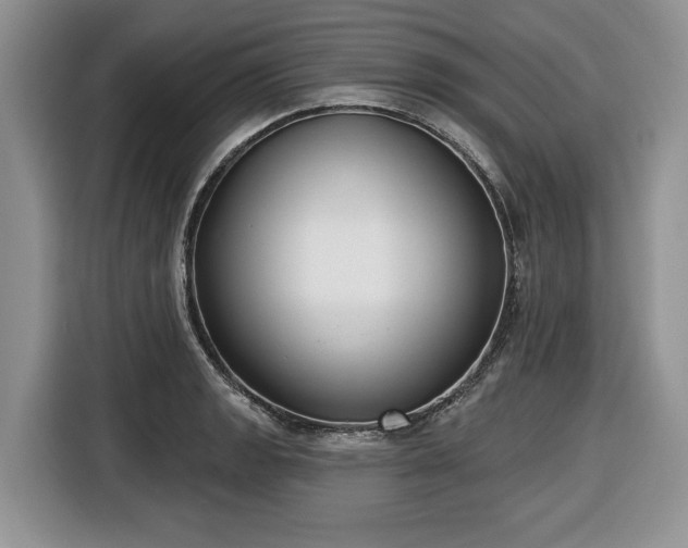 X0000116431133200912151013