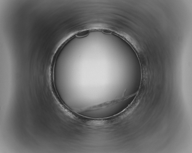 X0000116431134200912151013