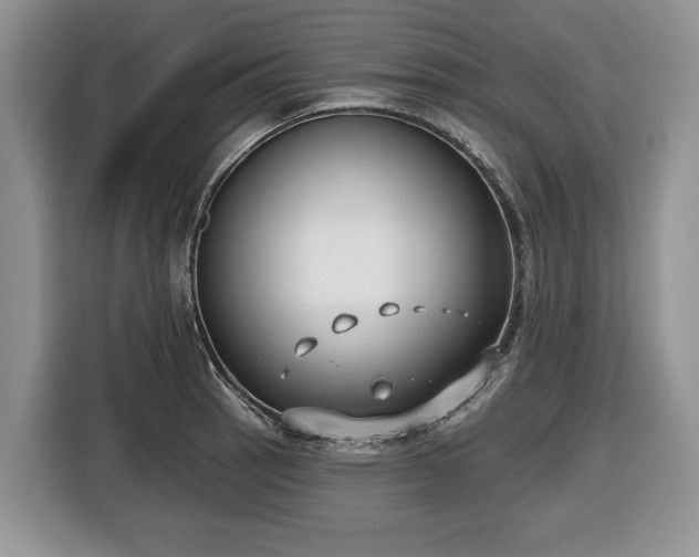X0000116431137200912151013