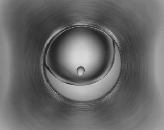 X0000116431138200912151013