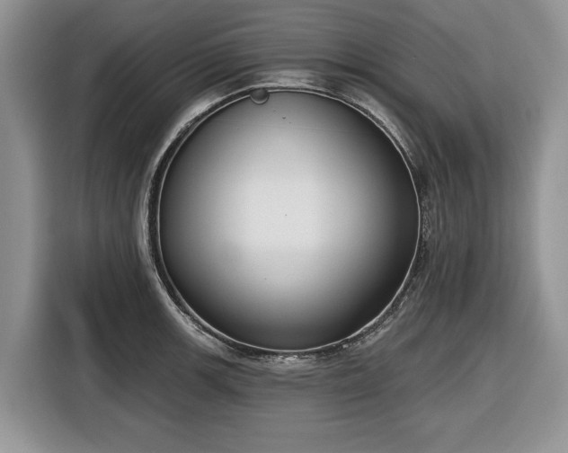 X0000116431139200912151013