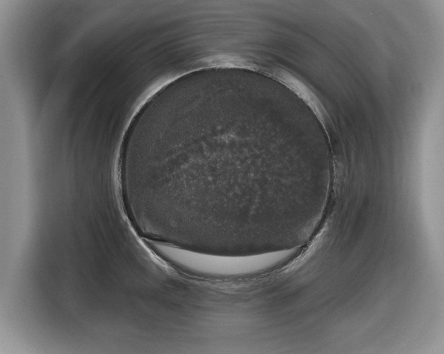 X0000116431141200912151013