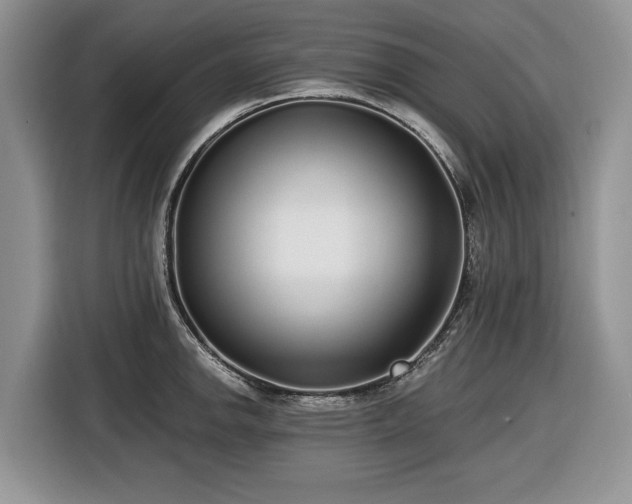 X0000116431142200912151013