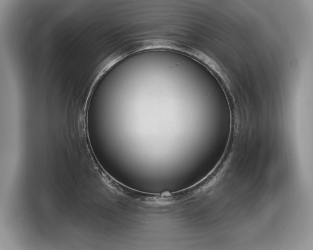 X0000116431145200912151013
