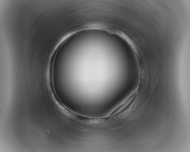 X0000116431147200912151013