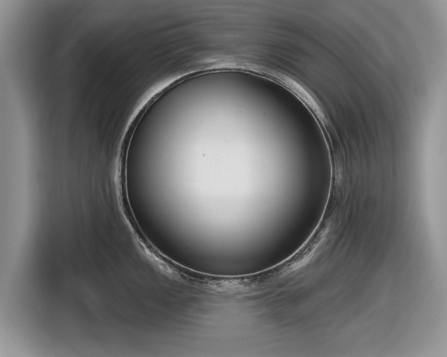 X0000116431149200912151013