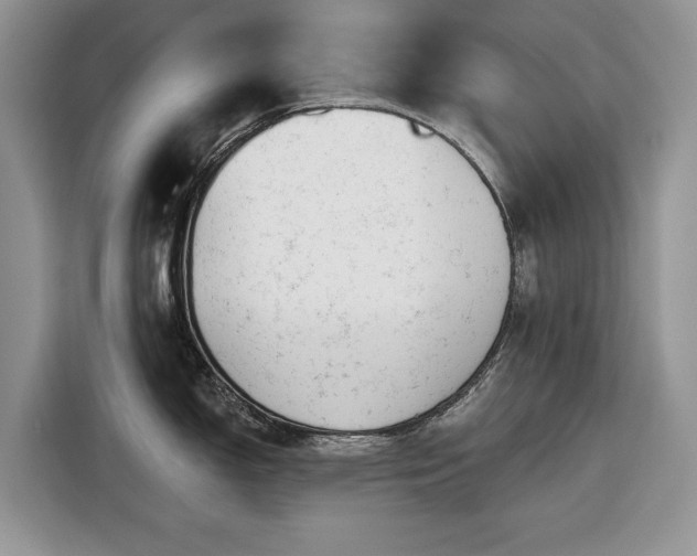 X0000116431150200912151013