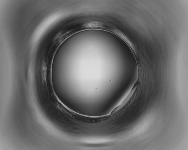 X0000116431151200912151013