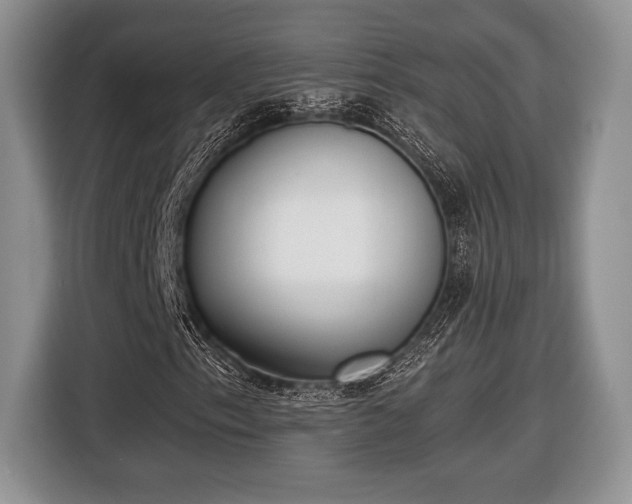 X0000116431153200912151012