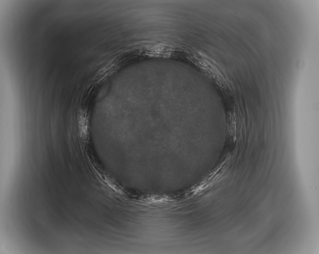 X0000116431154200912151012