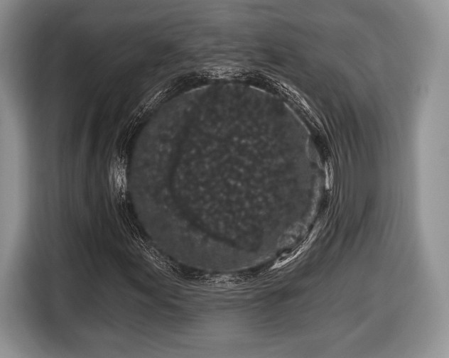 X0000116431155200912151012