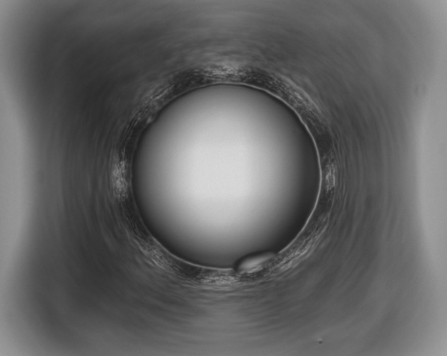 X0000116431156200912151012