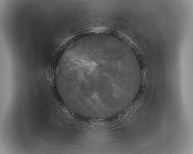 X0000116431158200912151012