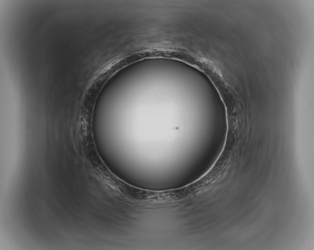 X0000116431159200912151012