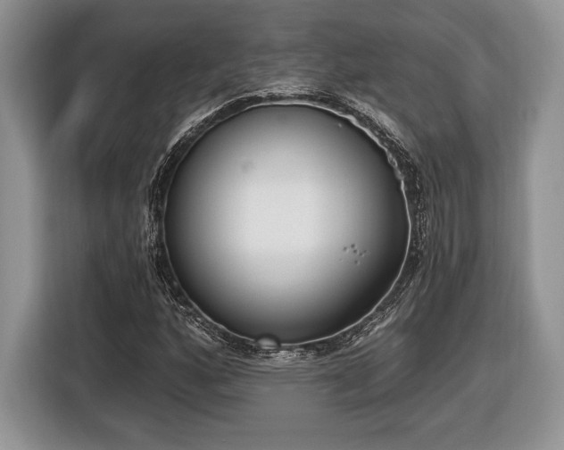 X0000116431160200912151012