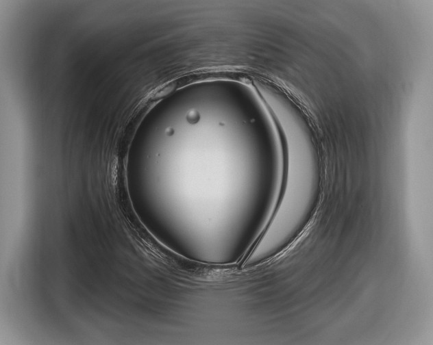 X0000116431161200912151012