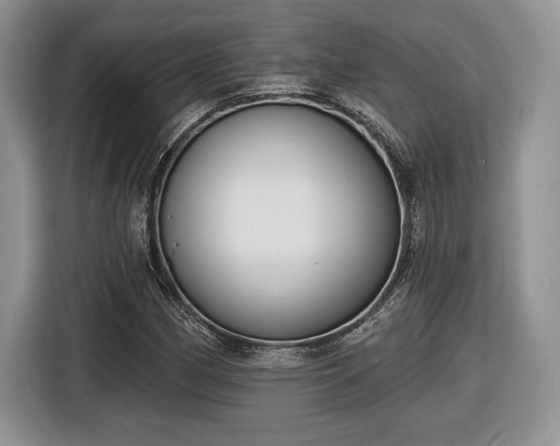 X0000116431162200912151012
