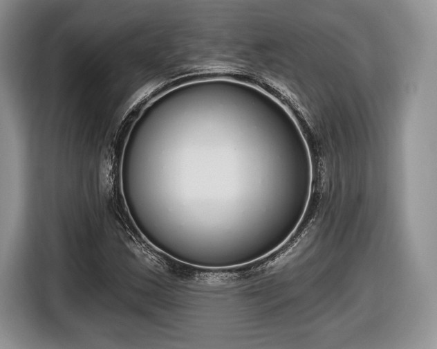 X0000116431163200912151012