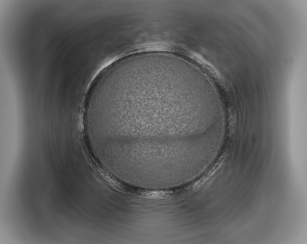 X0000116431166200912151012