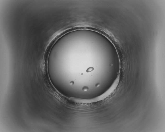 X0000116431167200912151012