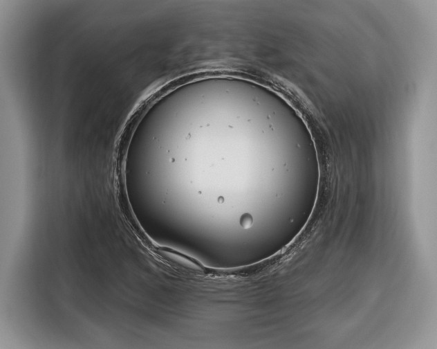 X0000116431168200912151012