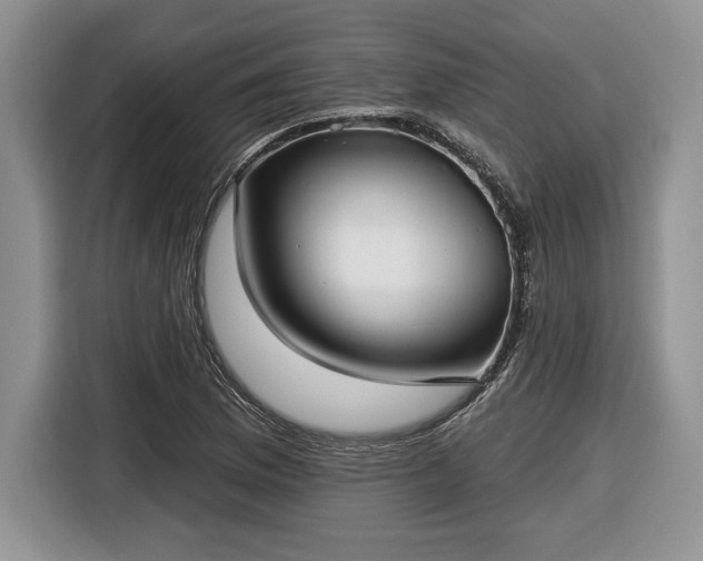 X0000116431169200912151012