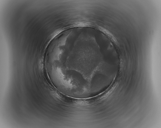 X0000116431170200912151012