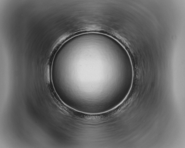 X0000116431171200912151012