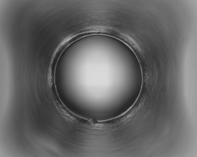 X0000116431172200912151012