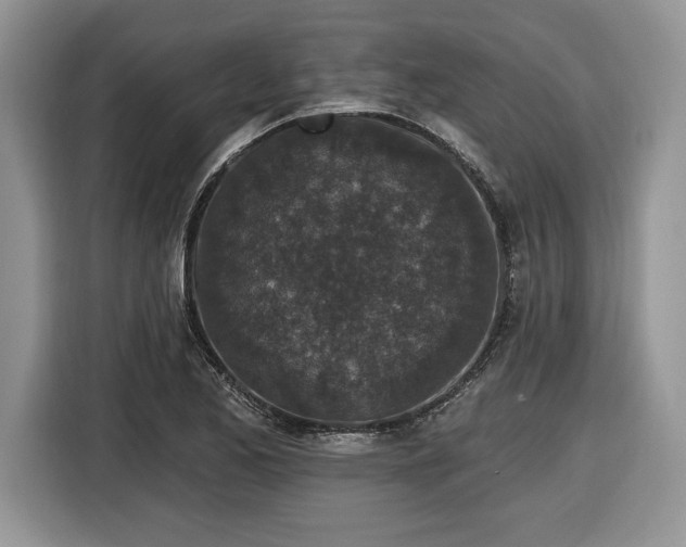 X0000116431173200912151012