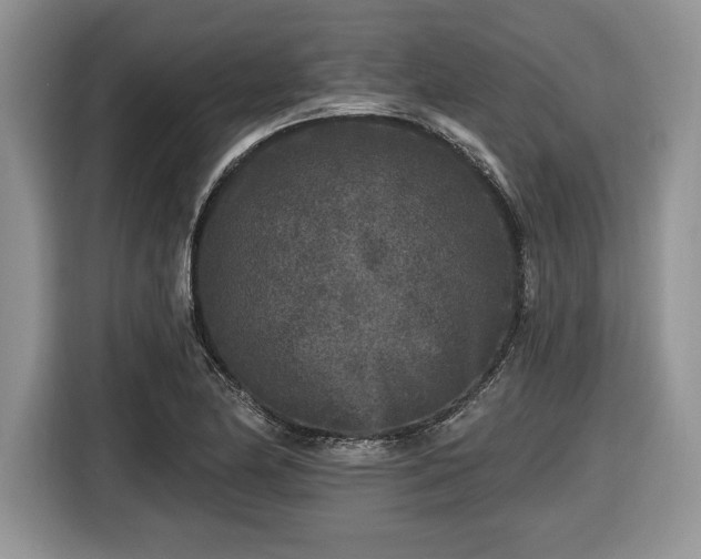 X0000116431174200912151012