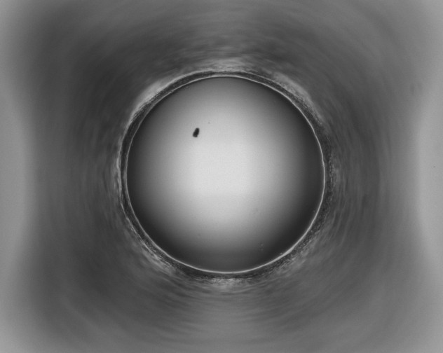 X0000116431176200912151012