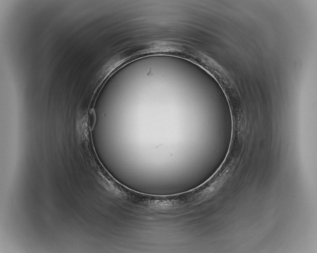 X0000116431177200912151012