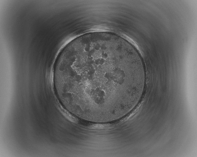 X0000116431179200912151012