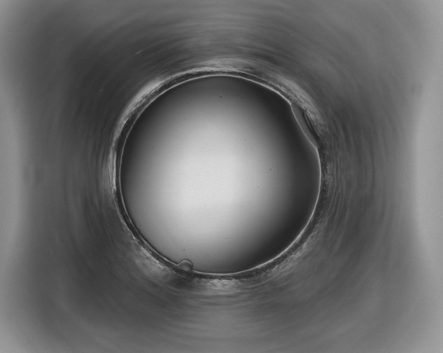 X0000116431180200912151012
